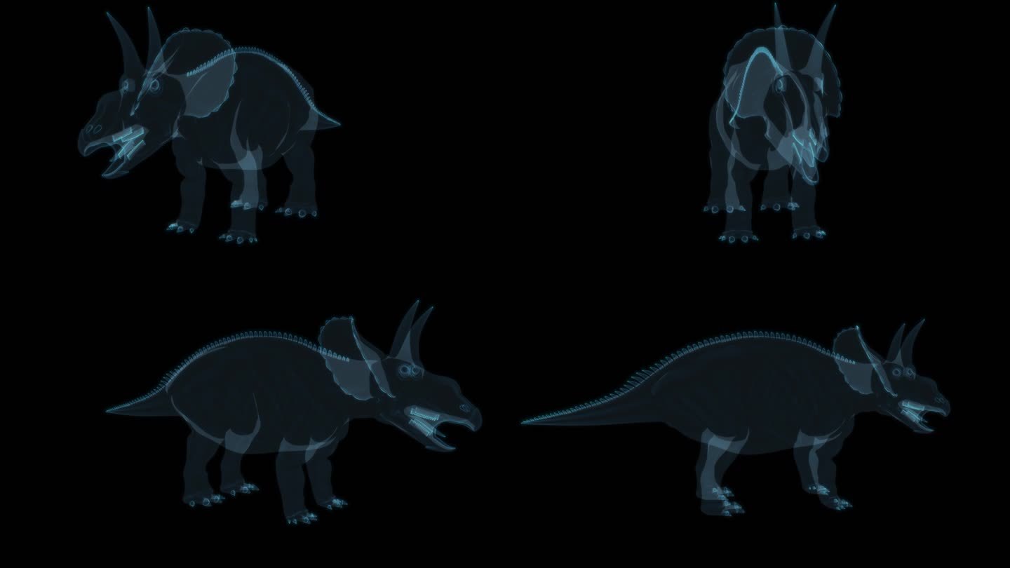 恐龙 Diceratops 双角龙