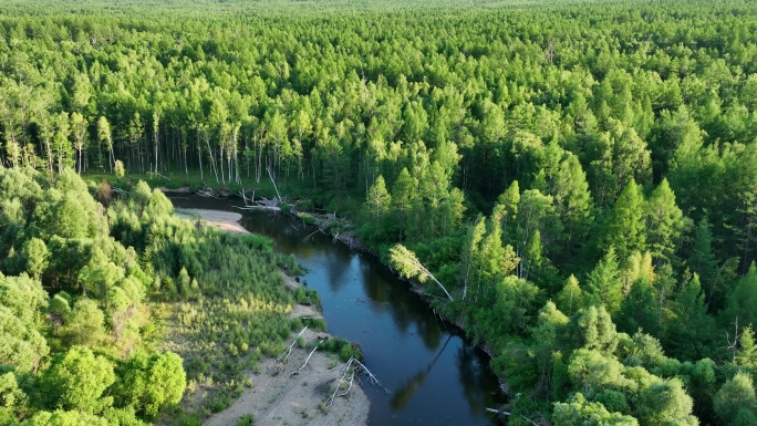 航拍绿色森林清澈河流