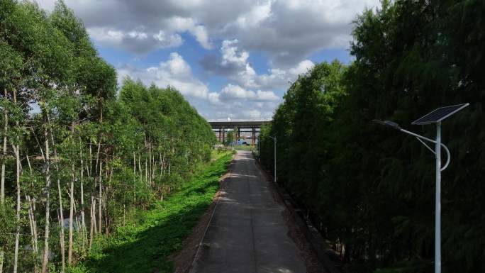 中国广东省中山市南中高速横门西特大桥