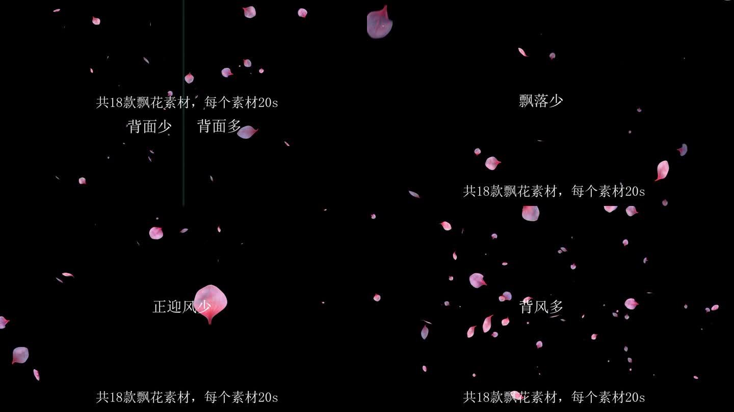 【4K】18款花瓣飘落通道视频