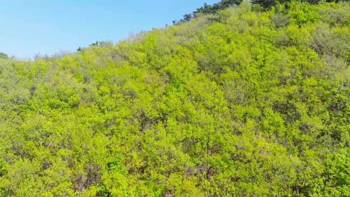 辽宁省鞍山市千山风景区5.1K