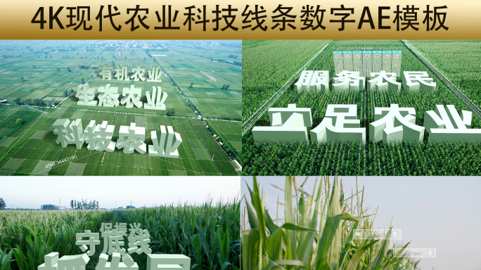 4K农业农田科技线条数字AE模板