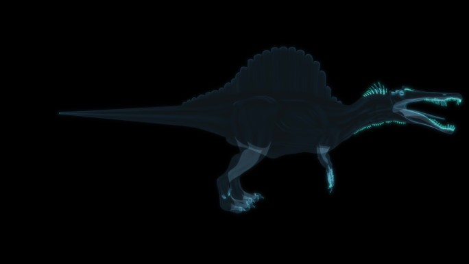 棘龙 恐龙远古生物Spinosaurus