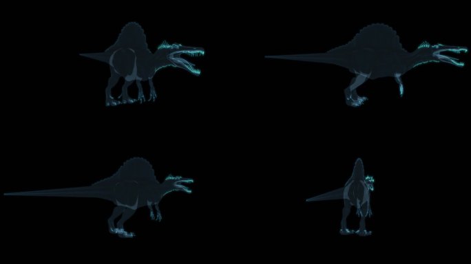 棘龙 恐龙远古生物Spinosaurus