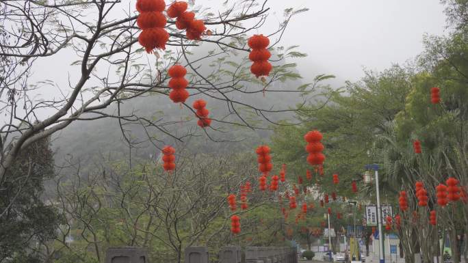 过年灯笼高高挂