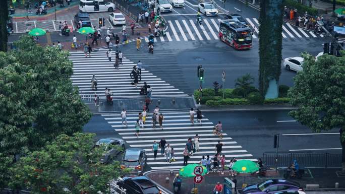 厦门 城市厦禾路交通红绿灯车流人行斑马线