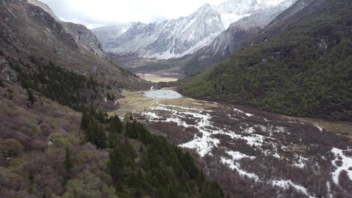 高原雪山草地2