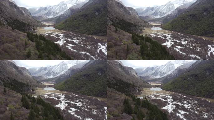 高原雪山草地2