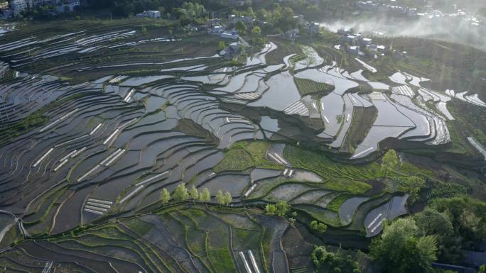 贵州大方小屯梯田春天