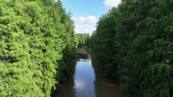 中国广东省中山市南中高速横门西特大桥