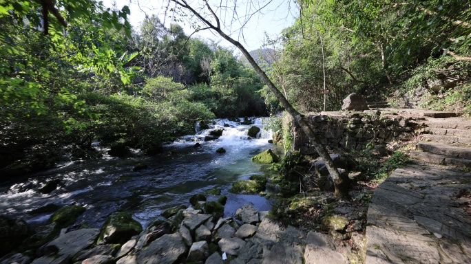 贵州茂兰自然风光湍急水流小溪航拍8K