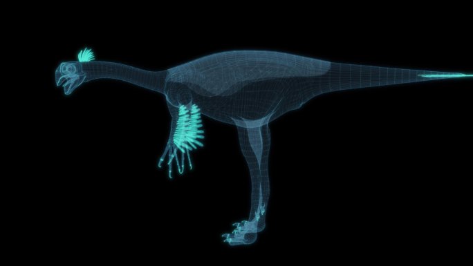 巨盗龙 Gigantoraptor 恐龙