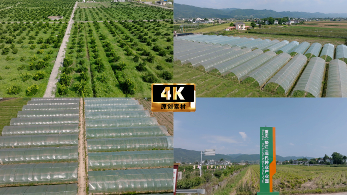 4K 农业种业产业园