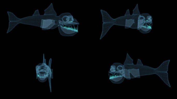鲨鱼恐怖 恐龙时代 白垩纪远古Fish