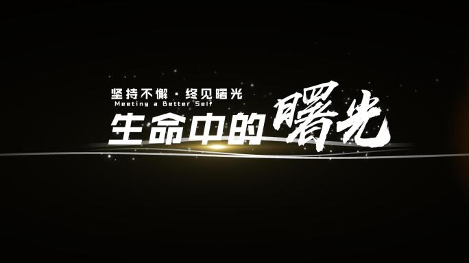 震撼大气水墨文字企业大标题字幕4k