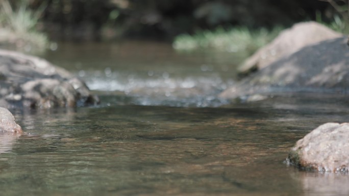 天然山泉水戏水素材