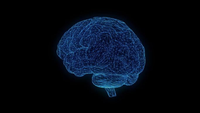 大脑蓝色科技线框