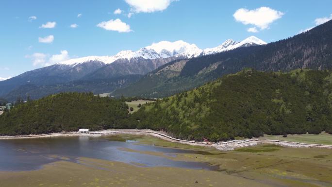 鲁朗雪山森林草地