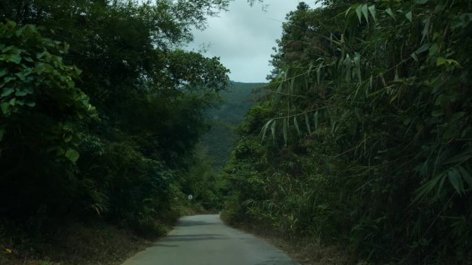 行驶在山间竹林小路第一人称视角