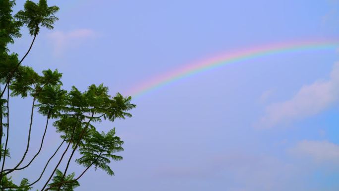 雨后彩虹情景短片