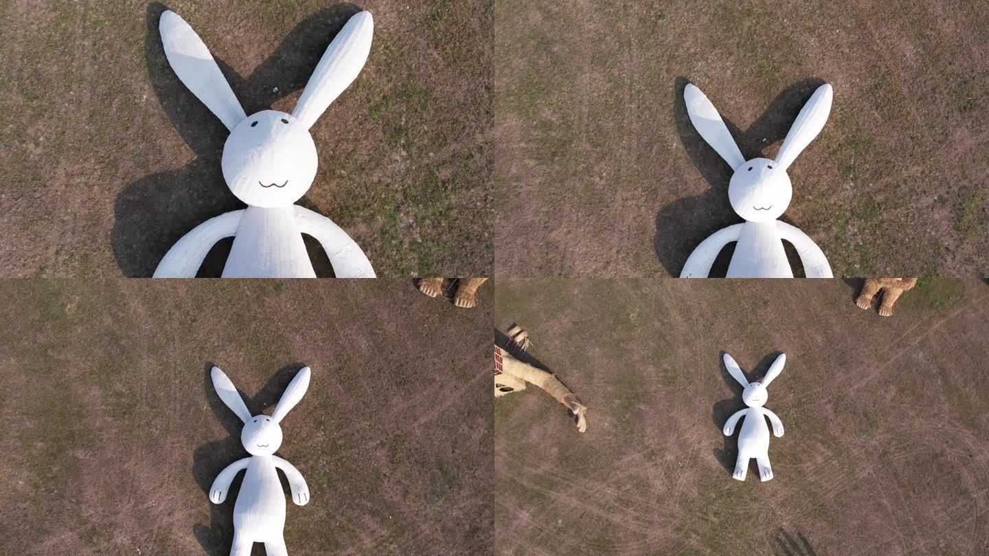 【2.7K】航拍俯拍躺地上的兔子