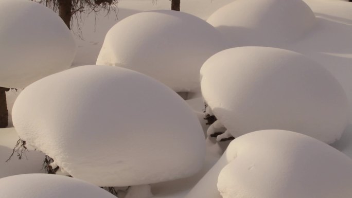 雪蘑菇
