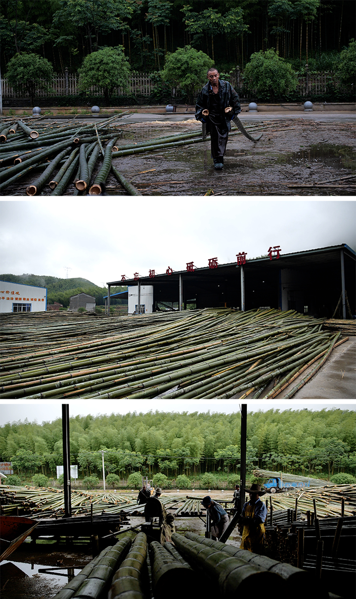 竹子加工厂 竹厂工人工作
