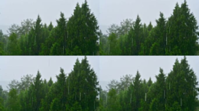 江南雨季暴雨雨滴滴落在传统清水瓦墙上