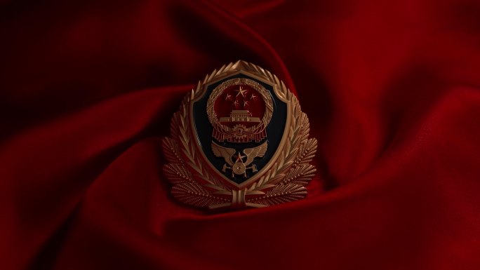 中国消防救援徽章扫光
