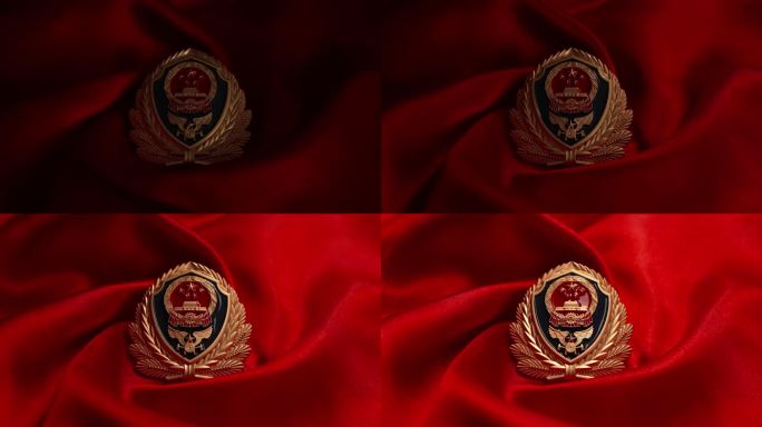 中国消防救援徽章扫光