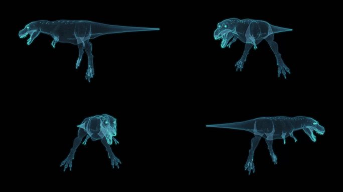 暴龙 恐龙化石Tyrannosaurus