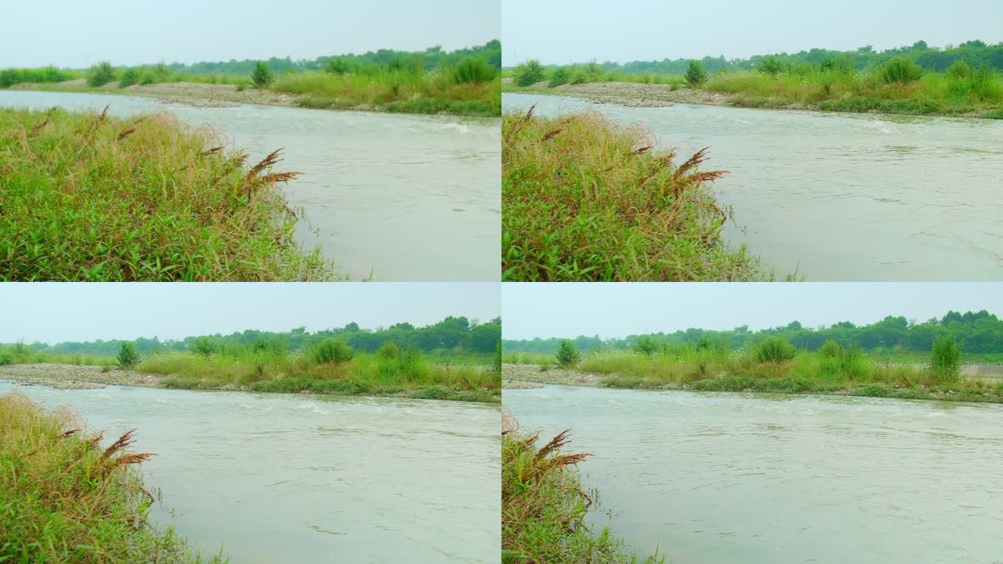 乡村河溪边玩水欣赏田间风景