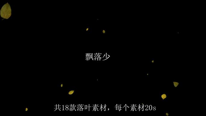 【4K】18款落叶飘落通道视频2