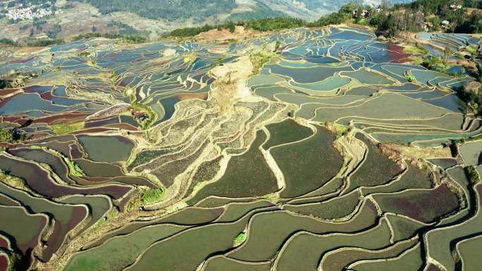 航拍云南元阳梯田风光