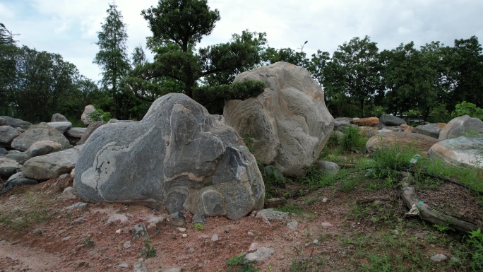 园林景观石 吊机吊装 风景园林 绿化石