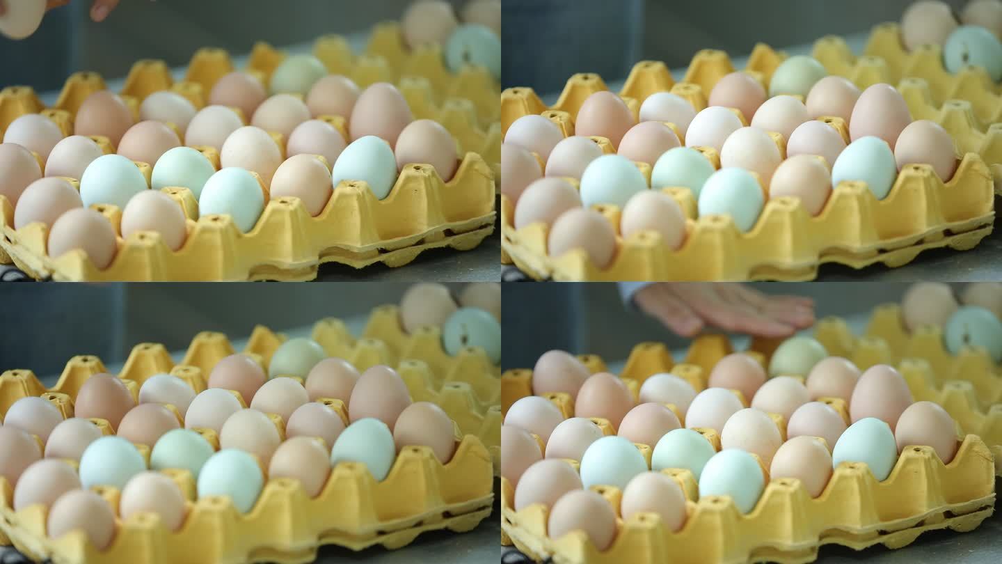 芦花鸡蛋