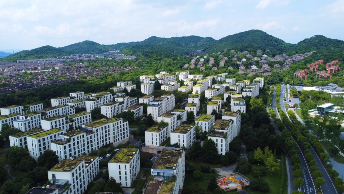 杭州良渚文化村航拍