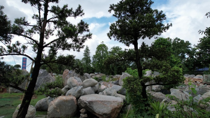 园林景观石 吊机吊装 风景园林 绿化石