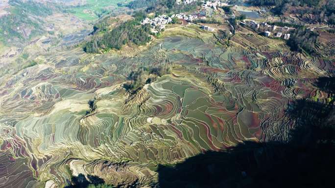 航拍云南元阳梯田风光