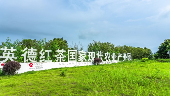 8K广东省英德红茶国家现代农业产业园延时