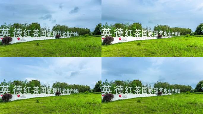 8K广东省英德红茶国家现代农业产业园延时