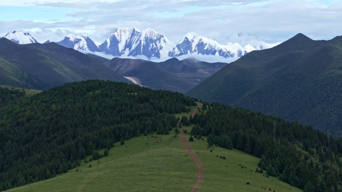 森林雪山