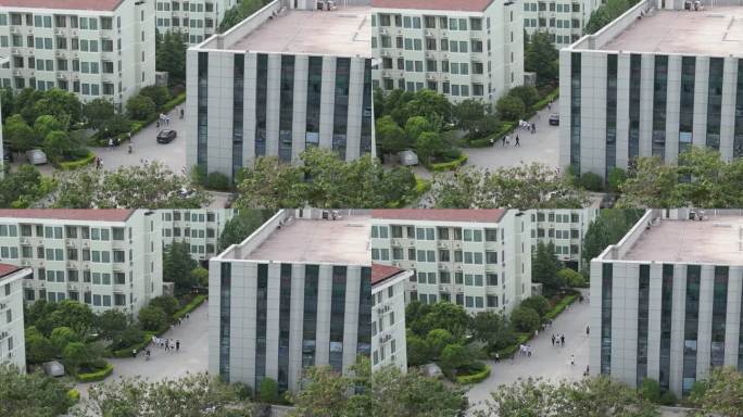 郑州经贸学院