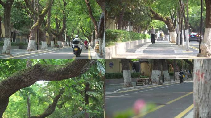 南京街道 宁海路街道 路牌 行人C028