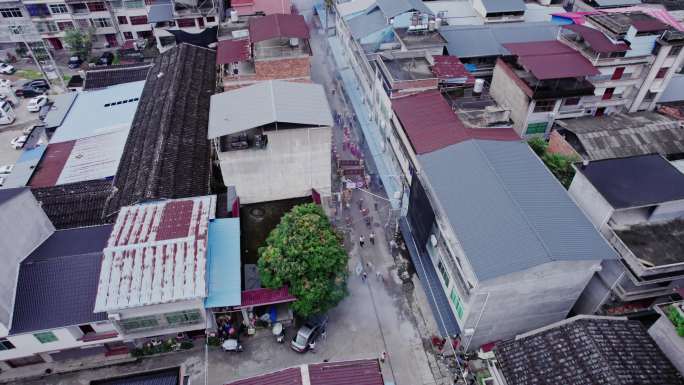 【原创】蛇节 樟湖镇 游街 民俗文化