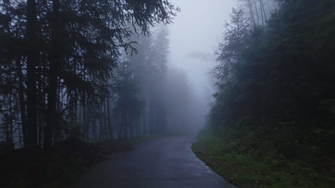 桂林山水云雾缭绕竹林树林秘境山路