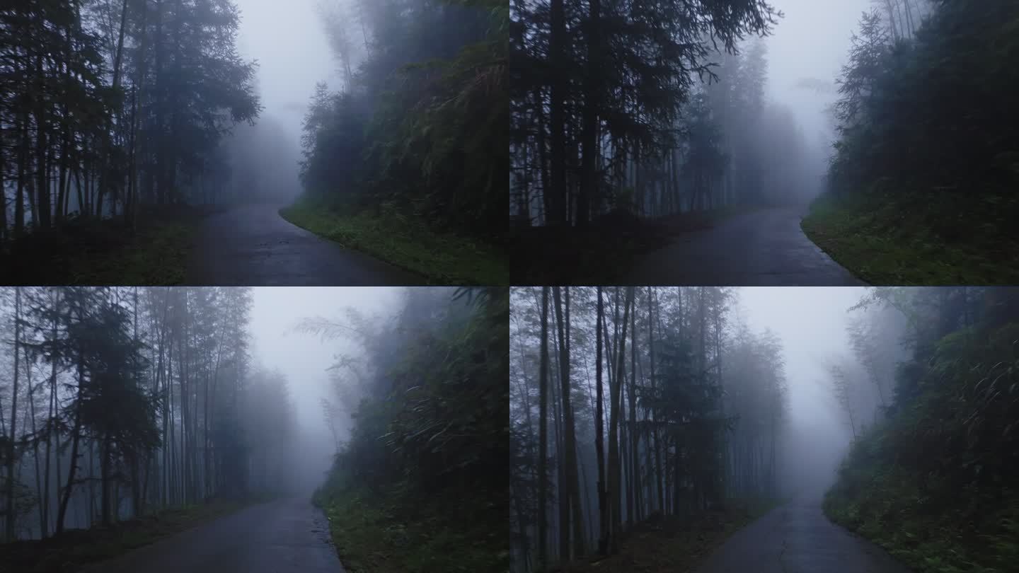 桂林山水云雾缭绕竹林树林秘境山路