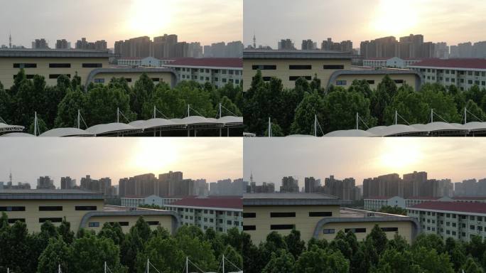 郑州经贸学院