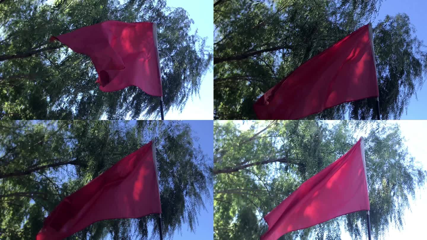 绿地 大树 红旗飘