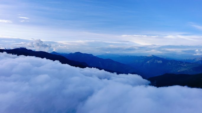 云南白马雪山自然保护区云海航拍